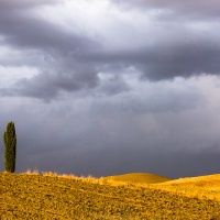 Paysage de Tocscane sous un ciel chargé