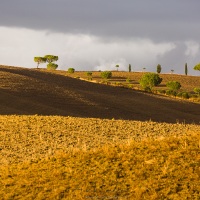 Paysage de Tocscane sous la lumière de fin de journée