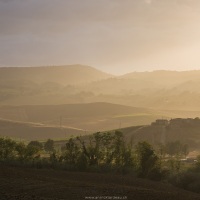 Paysage de Tocscane sous la lumière de fin de journée