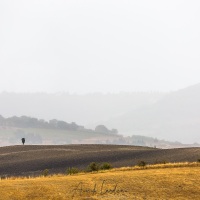 Paysage de Toscane