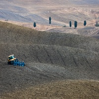 Val d'Orcia: travail des champs