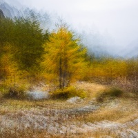 Paysage d'automne dans le Valgrisenche