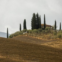 Val d'Orcia: maison entourée de cyprès et d'oliviers