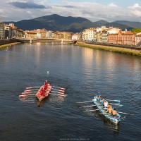 Pise: rameurs sur l'Arno