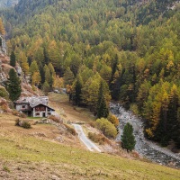 Vallée de Cogne