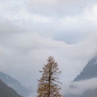 Brouillard dans la vallée de Cogne