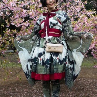 Shinjuku Gyoen Park: pose devant les cerisiers en fleurs