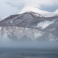 Paysage enneigé et brume