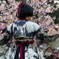 Shinjuku Gyoen Park: pose devant les cerisiers en fleurs