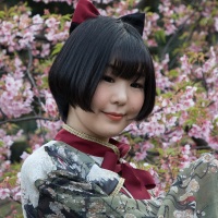 Shinjuku Gyoen Park: pose devant les cerisiers en fleurs