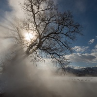 Solleil et brume