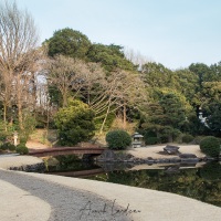 Tokyo: Shinjuku Gyoen Park