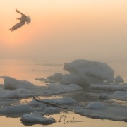 Lever de soleil