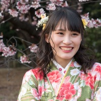 Shinjuku Gyoen Park: pose devant les cerisiers en fleurs