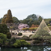 Tokyo: Shinjuku Gyoen Park