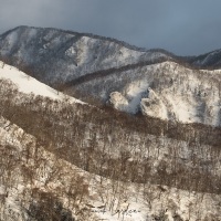 Montagnes enneigées