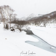 Paysage enneigé