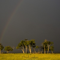 Juste avant l'orage