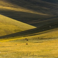 Plateau de Son Kul: ombres et lumières