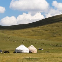 Plateau de Son Kul: vie nomade