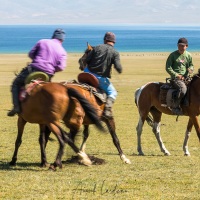 Plateau de Son Kul: jeu du bouzkachi