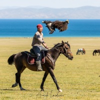 Plateau de Son Kul: jeu du bouzkachi