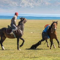 Plateau de Son Kul: jeu du bouzkachi