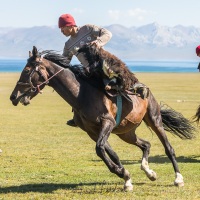 Plateau de Son Kul: jeu du bouzkachi