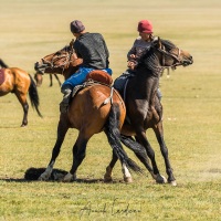 Plateau de Son Kul: jeu du bouzkachi