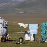 Plateau de Son Kul: scène de vie à 3000 m d'altitude