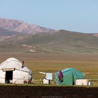 Plateau de Son Kul: scène de vie à 3000 m d'altitude