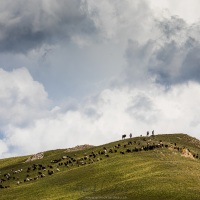 Bergers et leur troupeau