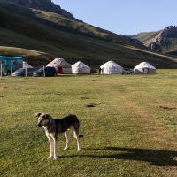 Camp de nomades