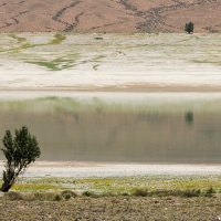 Paysage de montagne