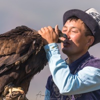 Aiglier et son aigle royal: tendresse mutuelle