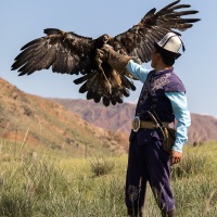 Aiglier et son aigle royal à sa réception