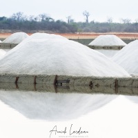 Saline