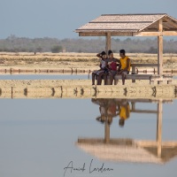 Saline: un petit coin d'ombre