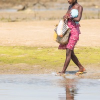 Traversée du lagon à marée basse