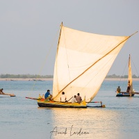 Boutre au lever de soleil