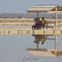 Saline: un petit coin d'ombre