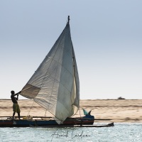 Boutre rentrant de la pêche