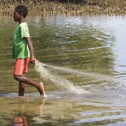 Pêche au filet