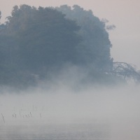Brume matinale sur le fleuve Manambolo
