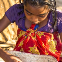 Scène de vie dans un village: nettoyage du riz
