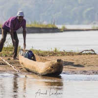 Au fil de la Tsiribihina: homme tsa pirogue