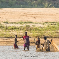 Au fil de la Tsiribihina: pêche matinale