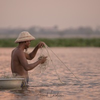 Pêche à l'épervier