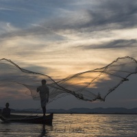 Pêcheurs à l'épervier