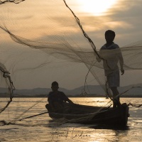 Pêcheurs à l'épervier